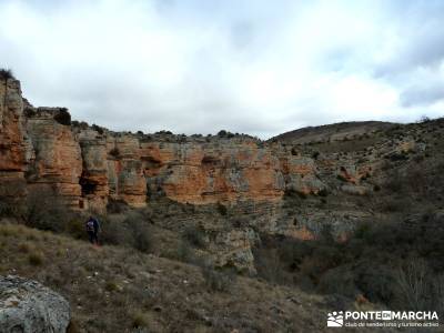 Hoces y cañones del Río Piedra y del Río Gallo -- Laguna Gallocanta - Viaje de trekking;grupos tr